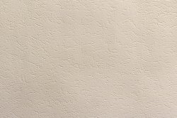 901601 Elysium обои виниловые 0,53*10м/9