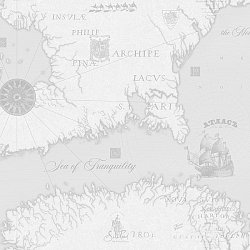 SL8838-21 Solo обои флизелиновые 1,06*10м/6