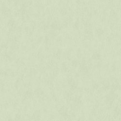 60323-05 Erismann Долорес обои флизелиновые 1,06*10м/6